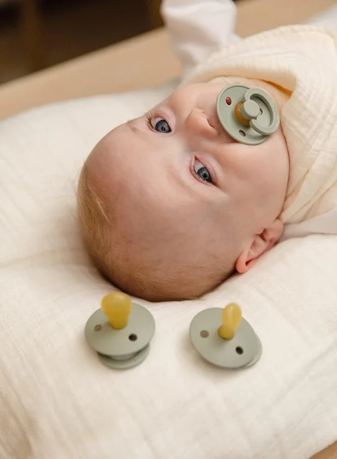 BIBS 2 Pieces Pacifier Size 1, 0 - 6M Ivory/Blush - Packaging May Vary