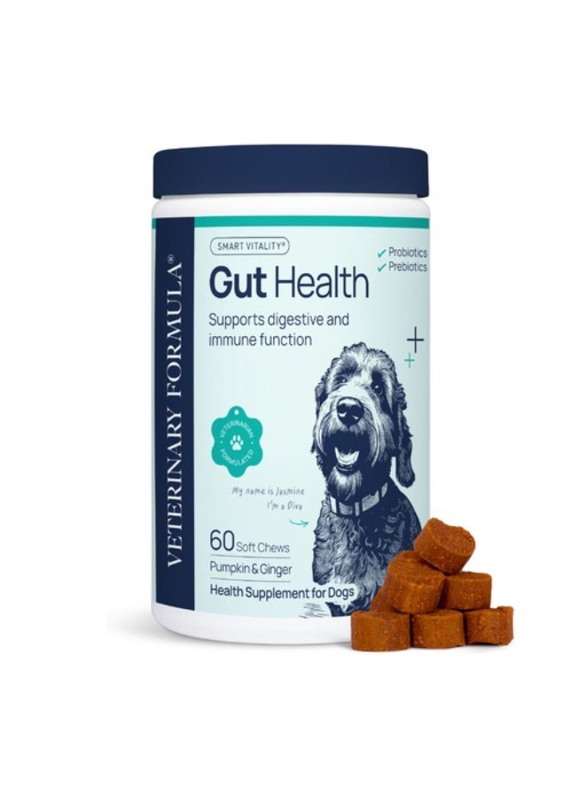 SynergyLabs Veterinary Formula Gut Health Formulated Probiotic Chews Supplement for Dogs – 225g [Count - 60] - Image 1