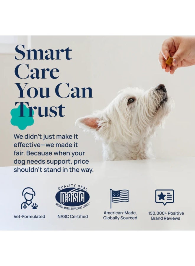 SynergyLabs Veterinary Formula Gut Health Formulated Probiotic Chews Supplement for Dogs – 225g [Count - 60] - Image 5