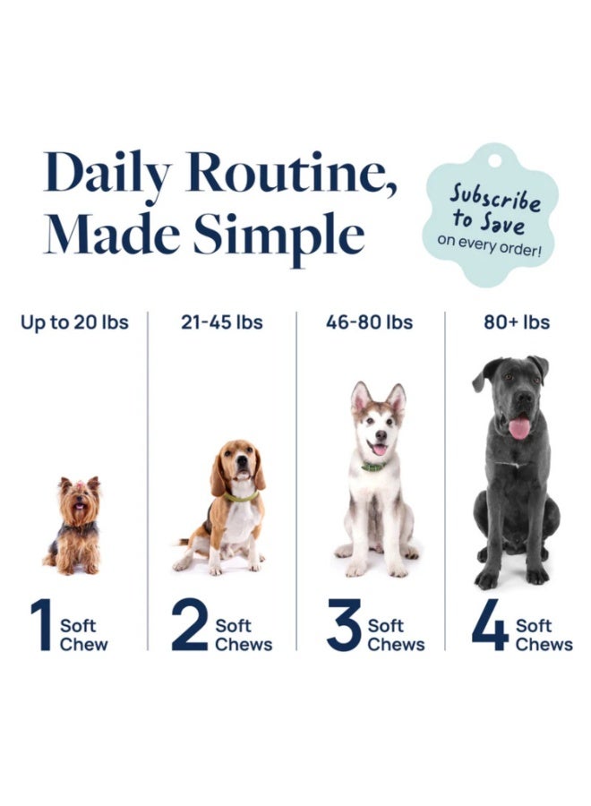 SynergyLabs Veterinary Formula Gut Health Formulated Probiotic Chews Supplement for Dogs – 225g [Count - 60] - Image 3