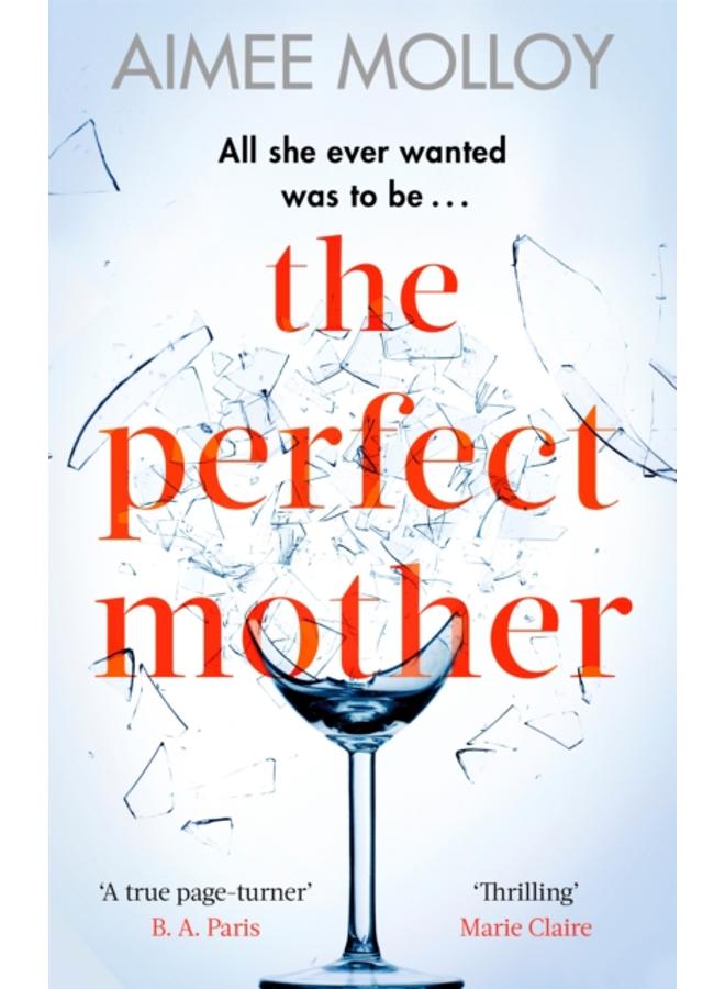 The Perfect Mother : A gripping thriller with a nail-biting twist 