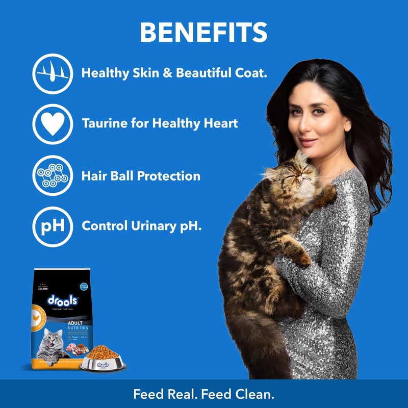 Drools Adult Cat Food with Creamy Treats - Image 4