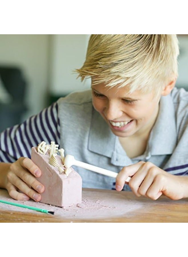 4M Dig a Dinosaur Skeleton – Stegosaurus Excavation Kit with Digging Tools, Brush, and Instructions – Fun Educational STEM Archaeology and Paleontology Activity for Kids Ages 8 and Up | 00-03229 - Image 5