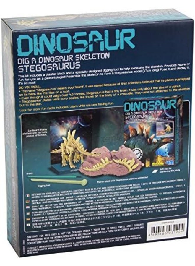 4M Dig a Dinosaur Skeleton – Stegosaurus Excavation Kit with Digging Tools, Brush, and Instructions – Fun Educational STEM Archaeology and Paleontology Activity for Kids Ages 8 and Up | 00-03229 - Image 2