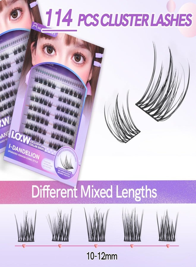 MLEN DIARY Natural Lash Extension Kit 114Pcs Cluster Lashes 10-12MM Wispy Eyelash Extensions Individual Lashes Kit Tweezers DIY at Home by MLEN DIARY - Image 2