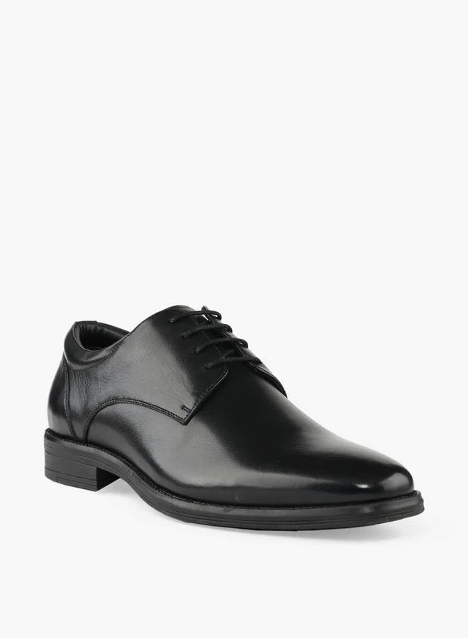 LBL By Shoexpress Men Leather Lace-Up Derby Shoes