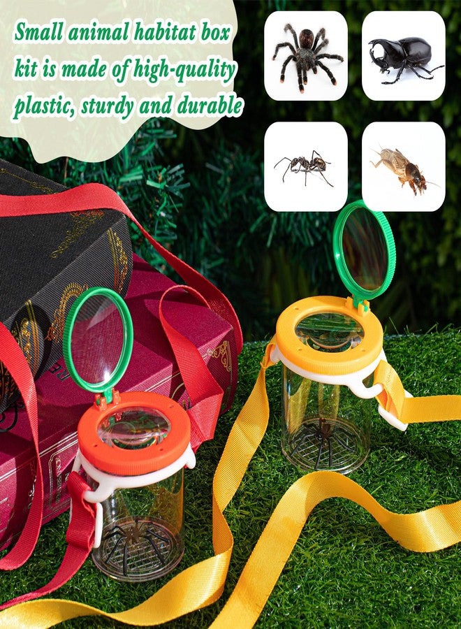 Sonwyoung 2 Pieces Magnifying Insect Box Bug Viewer with Magnifier Bug Cage Insect Bug Jar Critter Insect Container with Adjustable Straps for Science Nature Exploration Tool Specimen Viewer for Kids - Image 5