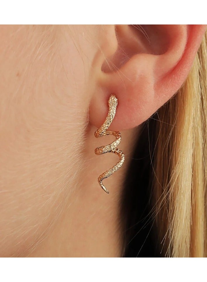 Snake-wound alloy stud earrings - Image 1