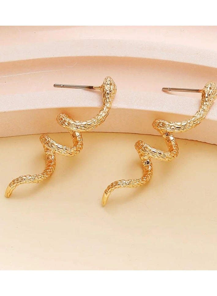 Snake-wound alloy stud earrings - Image 3