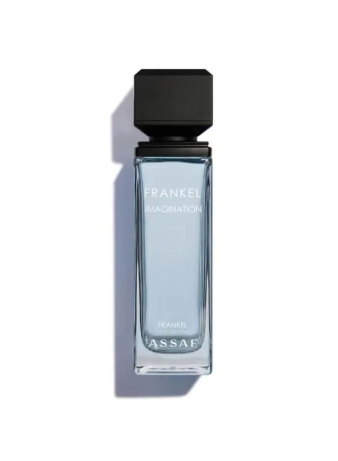 Frankel Imagination Intense EDP 100ML