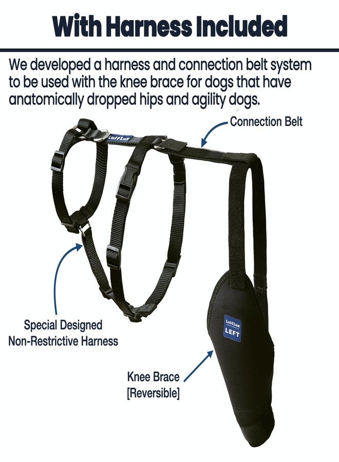 LufeLux Dog Knee Brace with Harness and Connection Belt, Lightweight and Stretchable, Support for Torn ACL Hind Leg, Luxating Patella, Reduces Arthritis Pain and Inflammation (XX-Small) - Image 3