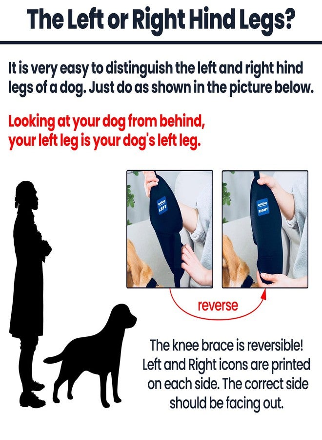 LufeLux Dog Knee Brace with Harness and Connection Belt, Lightweight and Stretchable, Support for Torn ACL Hind Leg, Luxating Patella, Reduces Arthritis Pain and Inflammation (XX-Small) - Image 5