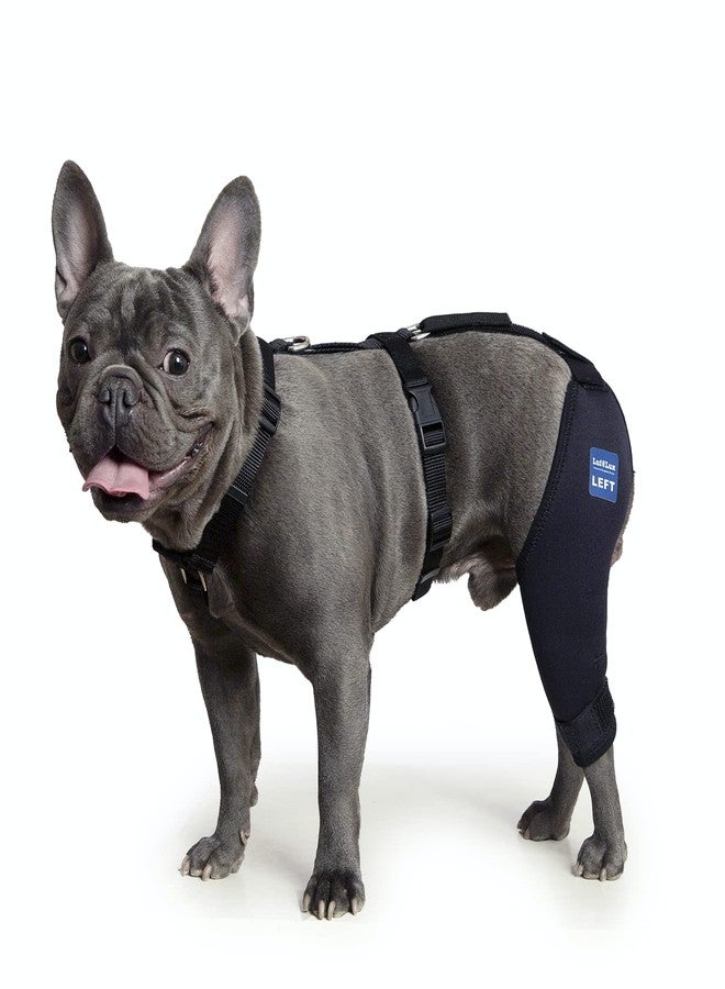 LufeLux Dog Knee Brace with Harness and Connection Belt, Lightweight and Stretchable, Support for Torn ACL Hind Leg, Luxating Patella, Reduces Arthritis Pain and Inflammation (XX-Small) - Image 1
