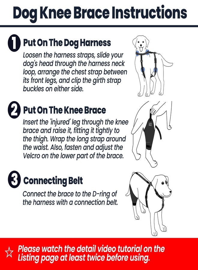 LufeLux Dog Knee Brace with Harness and Connection Belt, Lightweight and Stretchable, Support for Torn ACL Hind Leg, Luxating Patella, Reduces Arthritis Pain and Inflammation (XX-Small) - Image 4