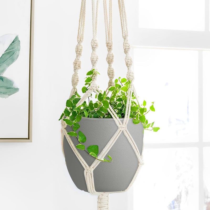 Ferlypote Plant Pots 6 Inch Set of 5, Flower Pots with Multi Mesh Drainage Holes, Planters for Indoor Outdoor Garden Plants and Flowers (Multicolor) - Image 4