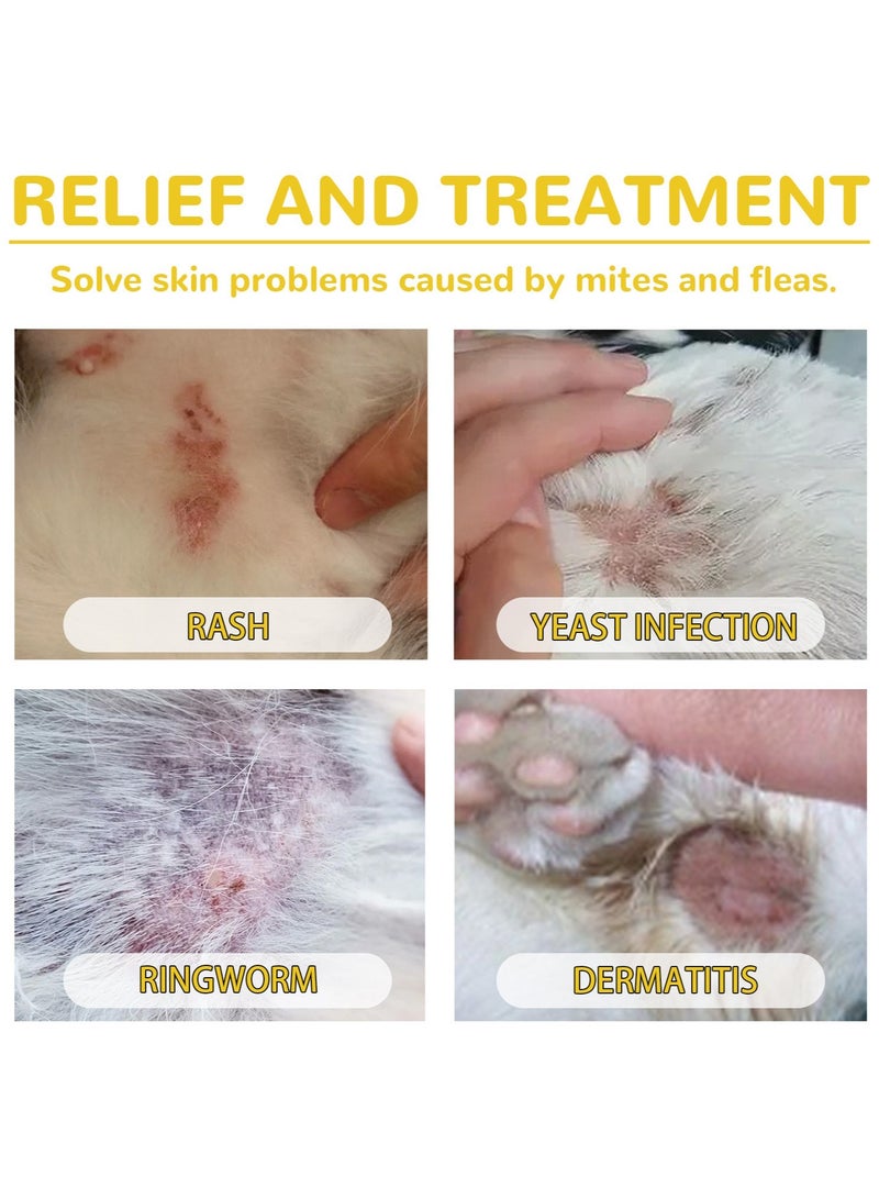 YEGBONG Flea Tick Pet Drops Natural Pet Care Spray, peppermint oil and Eugenol treatment, fresh fragrance, 1ml - Image 4