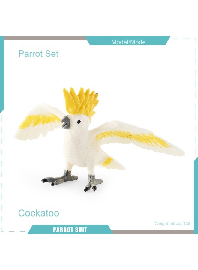 NIBEMINENT Realistic Parrot Model - Educational and Decorative Desktop Accessory