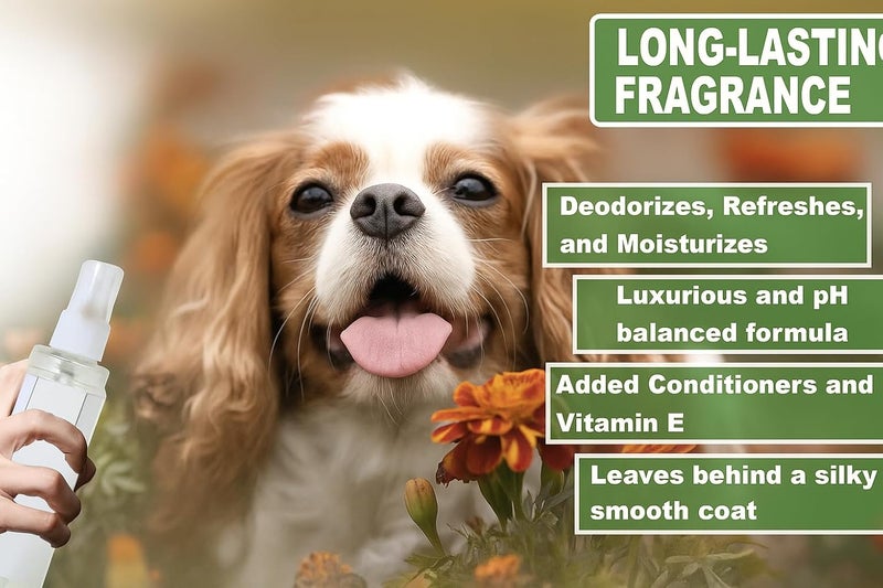 swacch Pet Aqua Odour Remover Liquid I Pet Safe Deodorizer for Home & Pet Areas I 1 Litre Lavender - Image 3