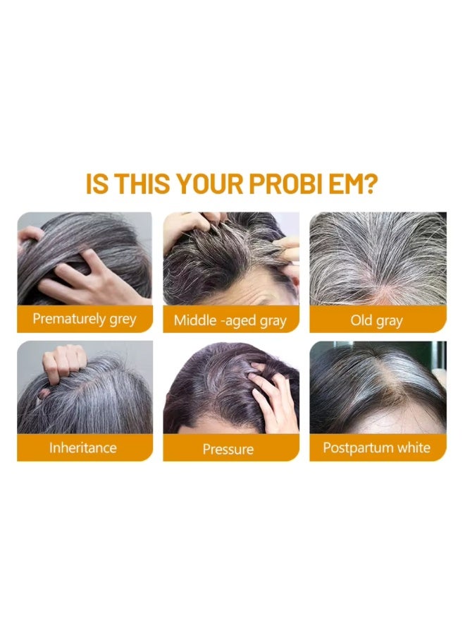 Disaar صابون الجينسنغ الطبيعي المظلم 100 جرام - من الرمادي إلى الأسود - بار شامبو مرطب من خلاصة النباتات - شامبو وبلسم عضوي طبيعي لشعر رقيق - تأثير بلسم صابون الشعر مع بار تنظيف - Image 5