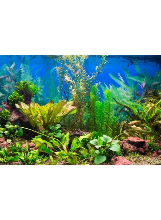 AWERT 36x18 inches Aquarium Background Aquatic Plant River Bed and Lake Fish Tank Background Vinyl, 36x18in/90x45cm - Image 1