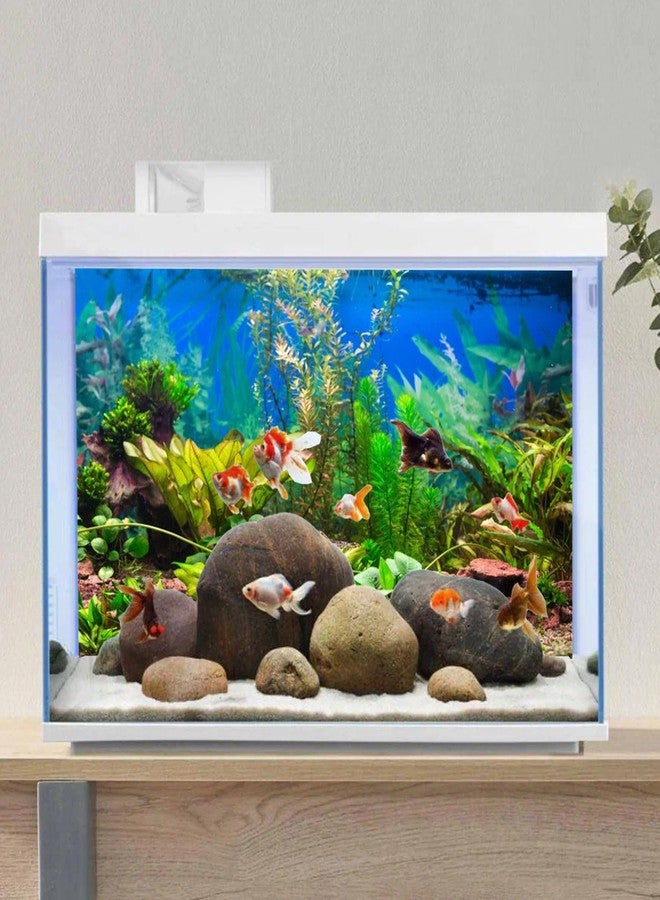 AWERT 36x18 inches Aquarium Background Aquatic Plant River Bed and Lake Fish Tank Background Vinyl, 36x18in/90x45cm - Image 4