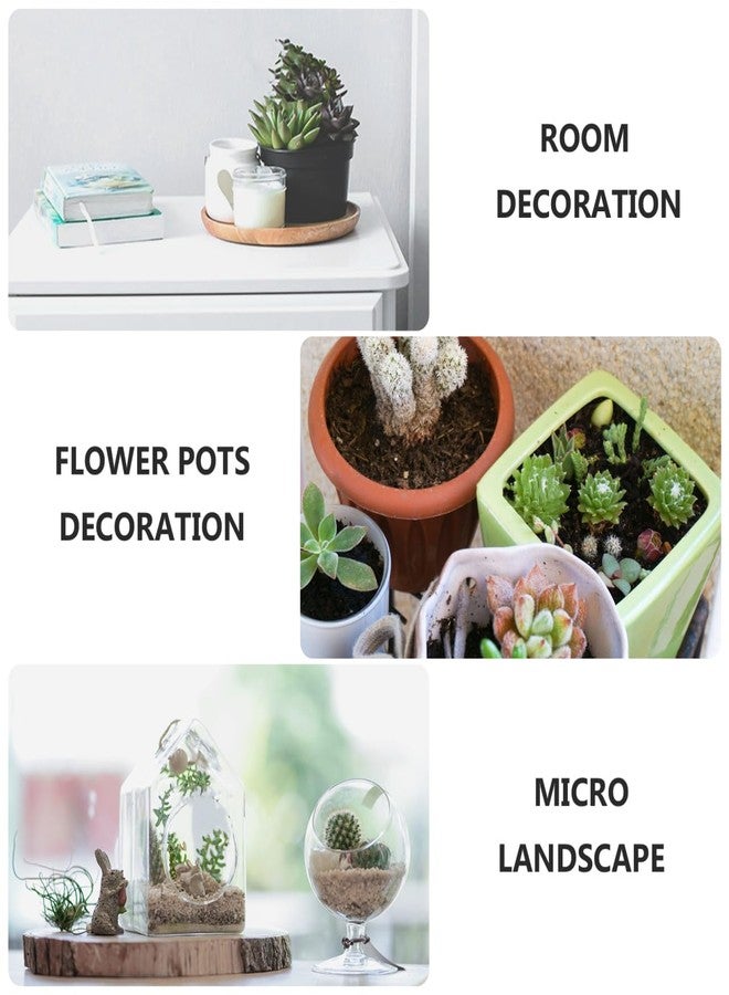 VICASKY 6pcs Decorative Planter Miniature Potted Plants Miniature Flower Bed Miniature Flower Pots Dollhouse Plants and Flowers Miniture Decoration Hand Decor Window Frame Sand Table Resin - Image 5