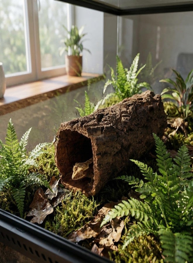 Garneck Reptile Hideout Gecko Hide Cave Hollow Log: Wood Tree Trunk Shelter for Snakes Lizards Hermit Crabs Turtle Terrarium Decor Habitat House Naturalistic Enclosure Accessory - Image 4