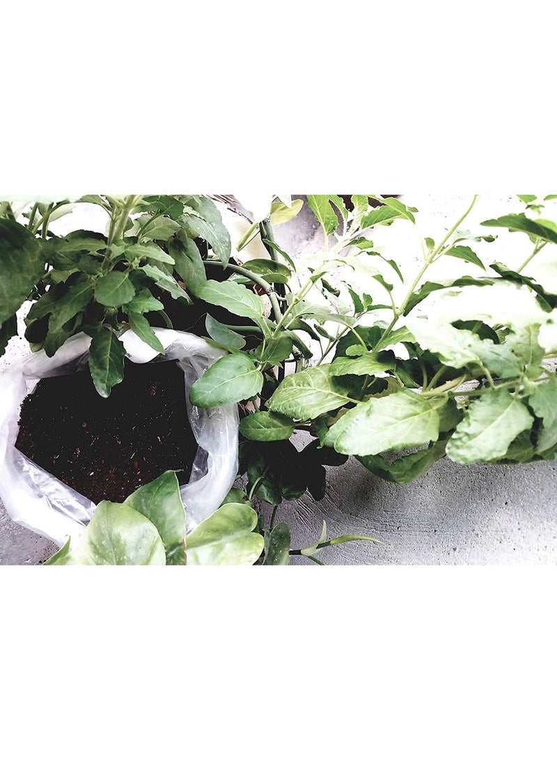 High Quality Special Soil For New Plant, Care and Repair of Lawns 2 kg - Image 4