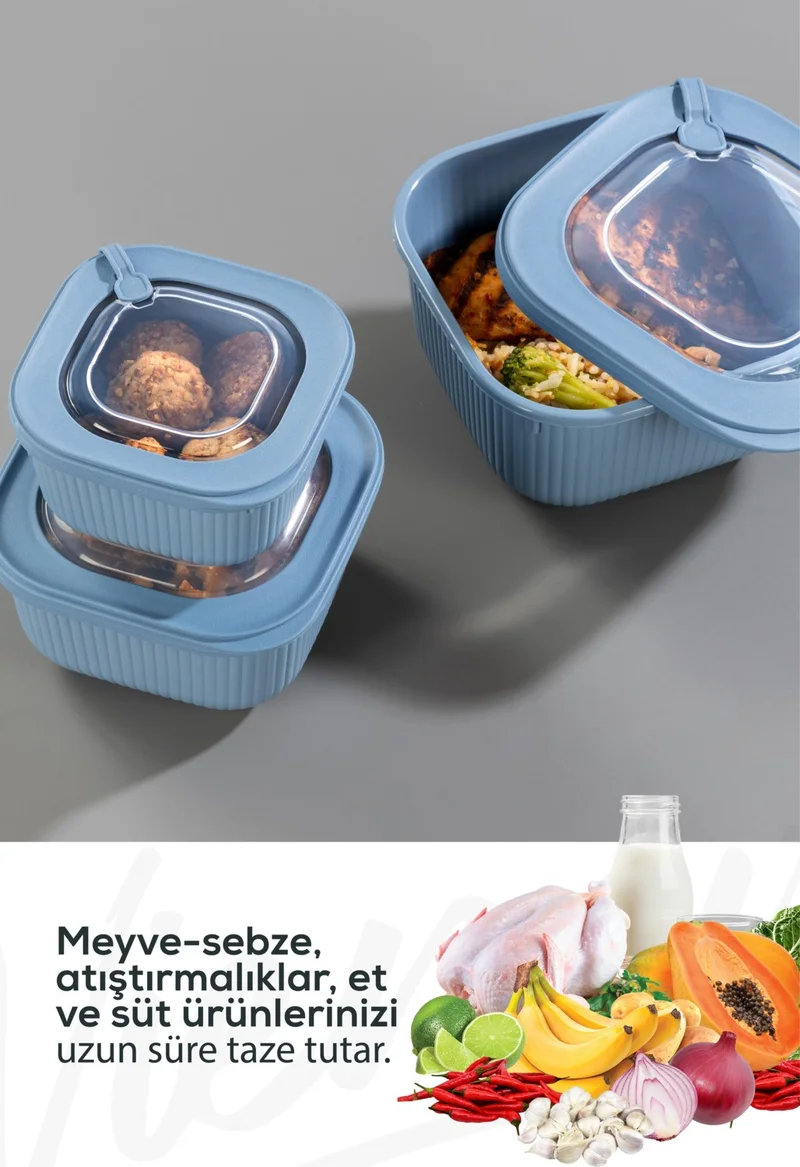 Vienev 9lu 3X(600-1100-1800 Ml) Microwave and Freezer Suitable VIP Covered Special Storage Container Set Blue