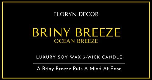 Floryn Decor 3 Wick Candle | Candle for Home Decoration | Luxury Candle for Home Decor | | Burning Time - 40 Hours | Soy Wax Candles Scented (Ocean Breeze) - Image 5