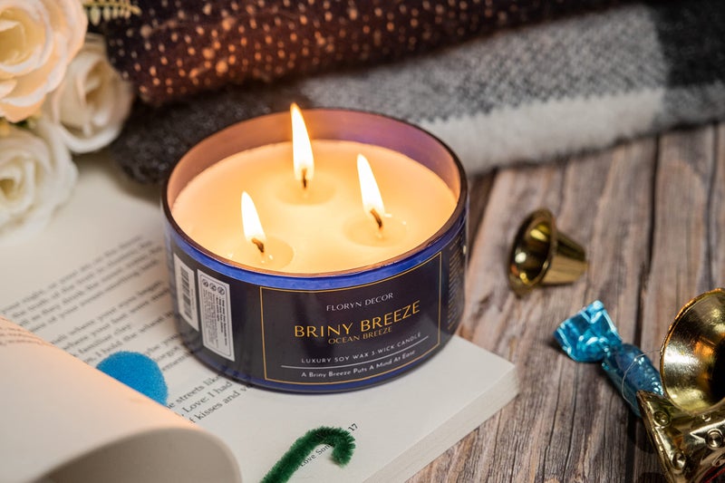 Floryn Decor 3 Wick Candle | Candle for Home Decoration | Luxury Candle for Home Decor | | Burning Time - 40 Hours | Soy Wax Candles Scented (Ocean Breeze) - Image 3