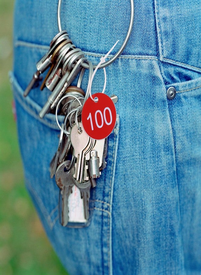بطاقات تعريف بلاستيكية مرقمة من 1 إلى 100، بطاقات تعليق للأمتعة، بطاقات تعريف مزودة بحلقات لتنظيم صناديق المفاتيح المشفرة، بطاقات ترميز النباتات (أحمر) - Image 4