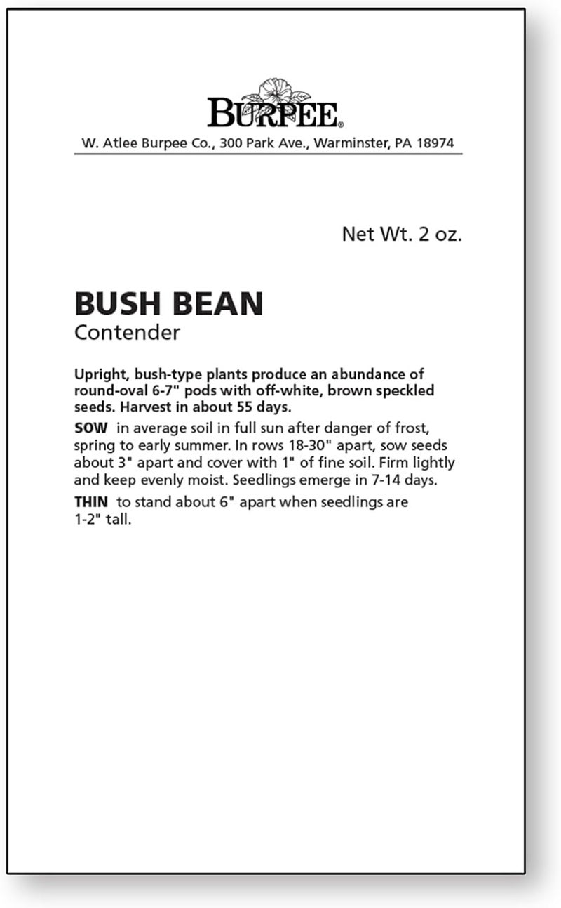 Burpee Contender Bush Bean Seeds 2 ounces of seed - Image 5