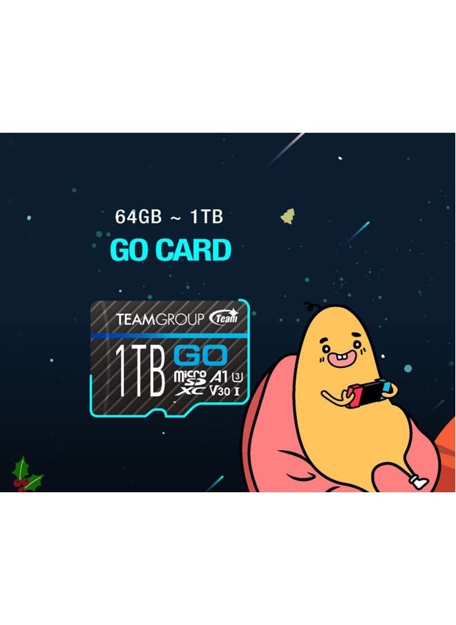 TeamGroup - GO Card 128GB x 2 Pack Micro SDXC UHS-I U3 V30 4K for GoPro & Action Cameras High Speed Flash Memory Card with Adapter for Outdoor, Sports, 4K Shooting TGUSDX128GU364 - Image 1