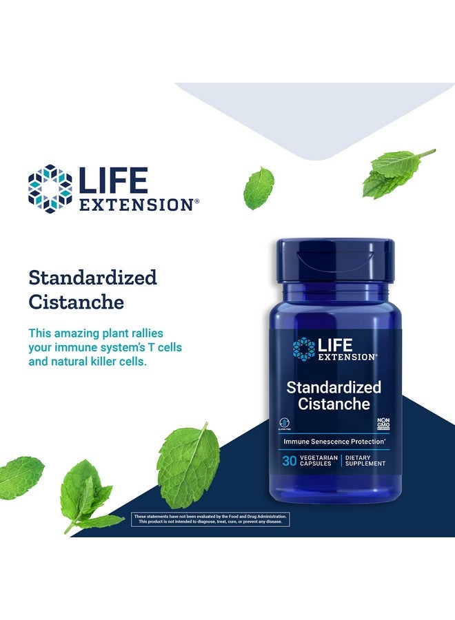 Life Extension سيستانش موحد يدعم صحة المناعة والقلب والأوعية الدموية خالي من الغلوتين غير معدل وراثيًا نباتي 30 كبسولة نباتية - Image 5