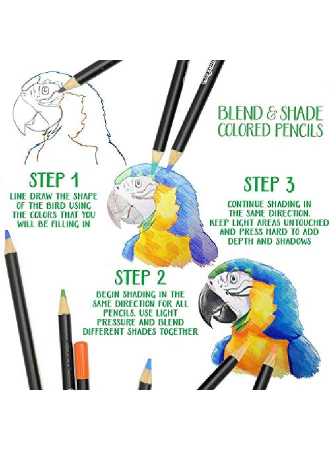 Crayola Blend & Shade Activity Set Adult Coloring Art Set 40Piece Gift - Image 4