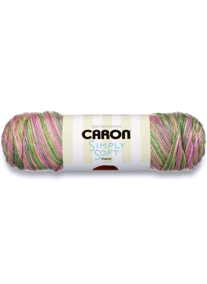 Simply Soft Paints Yarn (4) Medium Worsted Gauge 100% Acrylic 5 Oz Paints Rose Garden Machine Wash & Dry - pzsku/ZADDC25B7853429104634Z/45/_/1724479167/54db2c4e-4f88-4b20-999b-68123134f361