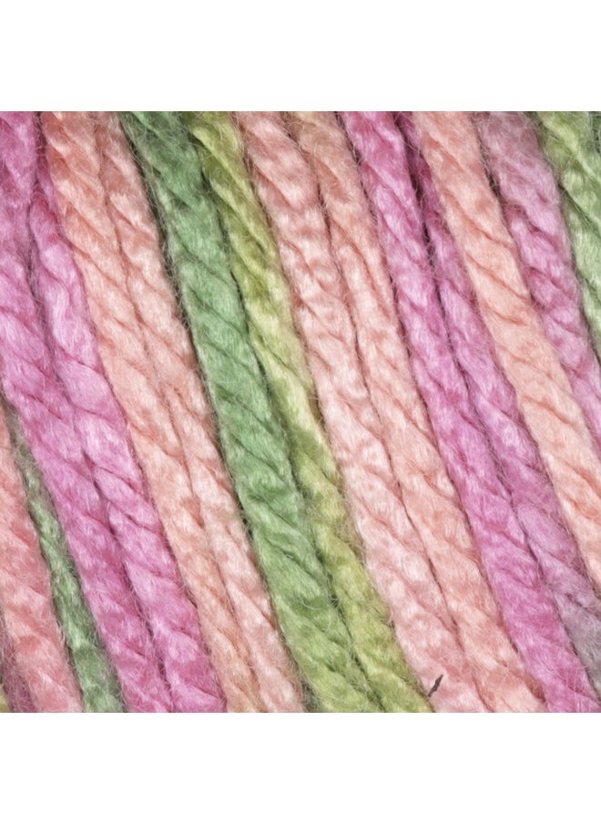 Simply Soft Paints Yarn (4) Medium Worsted Gauge 100% Acrylic 5 Oz Paints Rose Garden Machine Wash & Dry - pzsku/ZADDC25B7853429104634Z/45/_/1724479169/1b97b592-30db-4764-b182-31f68b53b7c1