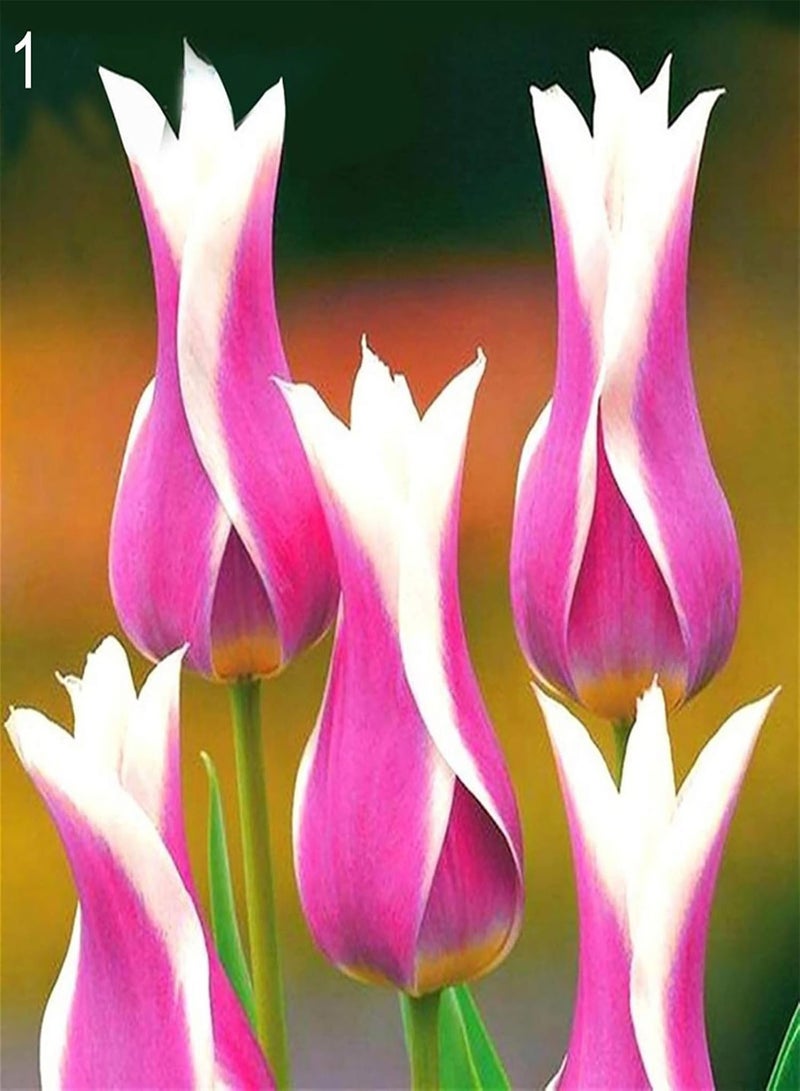 100Pcs/Bag Tulip Seeds,Natural Perennial Fragrance Bright Color Bonsai Seeds for Balcony Planting Garden Yard Outdoor 1 5