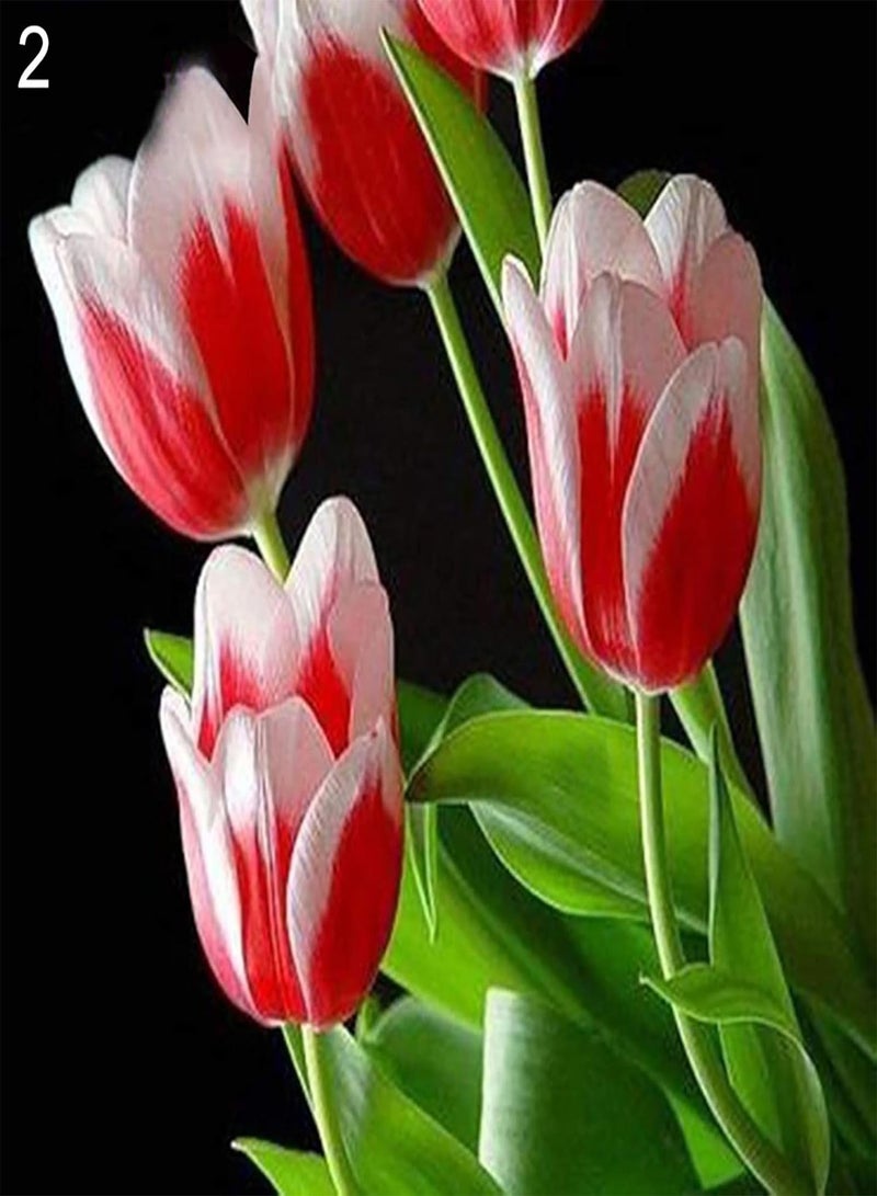 100Pcs/Bag Tulip Seeds,Natural Perennial Fragrance Bright Color Bonsai Seeds for Balcony Planting Garden Yard Outdoor 1 5