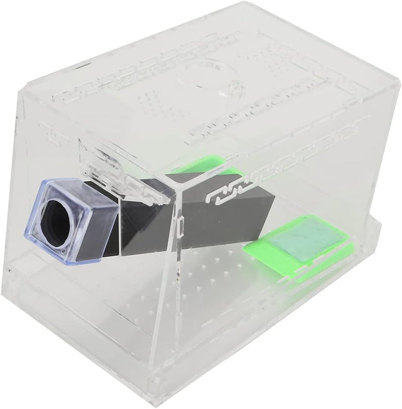 Odor resistant RiToEasysports Acrylic Cricket Cricket Guard with Tubes for the Care Kit Reptile Tank Box, Transparent Observation Box for (S 5.7in) Reinforced edge Low wear optimized design Modern warehouse management Scheduled warehouse deliver Scratch resistant Priority based order prep All territory compatible build Safe silicone build Easy store & transit build Extra part combo compatible Heat insulation layer Daily life matching design Simple multi-feature practical build Multi-price design picks Carefully engineered build Easy assemble alternatives Wide range usage design Shop & home all-space compatible Market need oriented construction Fault optimized construction Trendy widespread design Polished safe edge Full land route delivery Diverse application fit - Image 1
