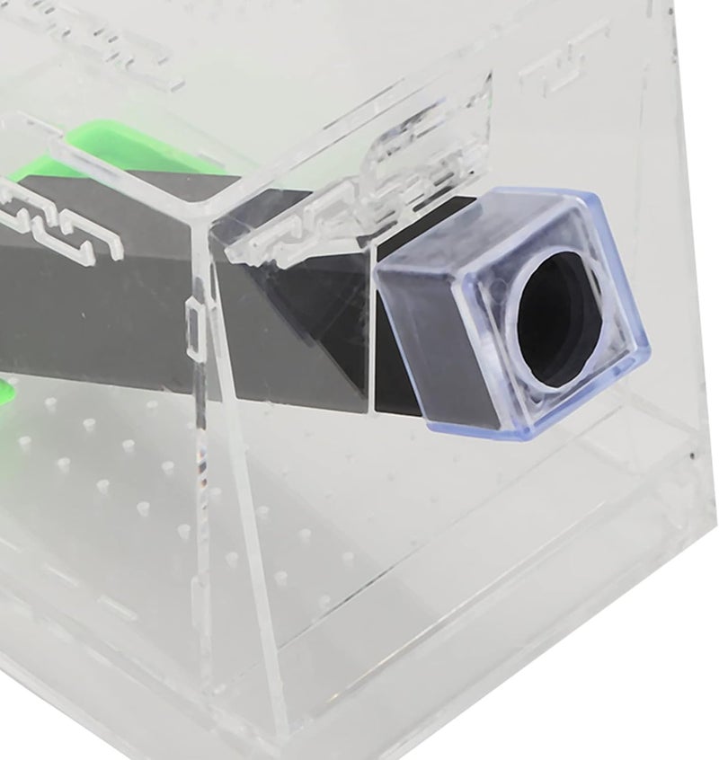 Odor resistant RiToEasysports Acrylic Cricket Cricket Guard with Tubes for the Care Kit Reptile Tank Box, Transparent Observation Box for (S 5.7in) Reinforced edge Low wear optimized design Modern warehouse management Scheduled warehouse deliver Scratch resistant Priority based order prep All territory compatible build Safe silicone build Easy store & transit build Extra part combo compatible Heat insulation layer Daily life matching design Simple multi-feature practical build Multi-price design picks Carefully engineered build Easy assemble alternatives Wide range usage design Shop & home all-space compatible Market need oriented construction Fault optimized construction Trendy widespread design Polished safe edge Full land route delivery Diverse application fit - Image 4