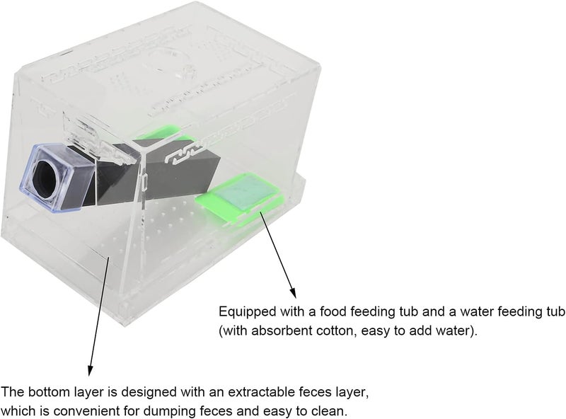 Odor resistant RiToEasysports Acrylic Cricket Cricket Guard with Tubes for the Care Kit Reptile Tank Box, Transparent Observation Box for (S 5.7in) Reinforced edge Low wear optimized design Modern warehouse management Scheduled warehouse deliver Scratch resistant Priority based order prep All territory compatible build Safe silicone build Easy store & transit build Extra part combo compatible Heat insulation layer Daily life matching design Simple multi-feature practical build Multi-price design picks Carefully engineered build Easy assemble alternatives Wide range usage design Shop & home all-space compatible Market need oriented construction Fault optimized construction Trendy widespread design Polished safe edge Full land route delivery Diverse application fit - Image 3