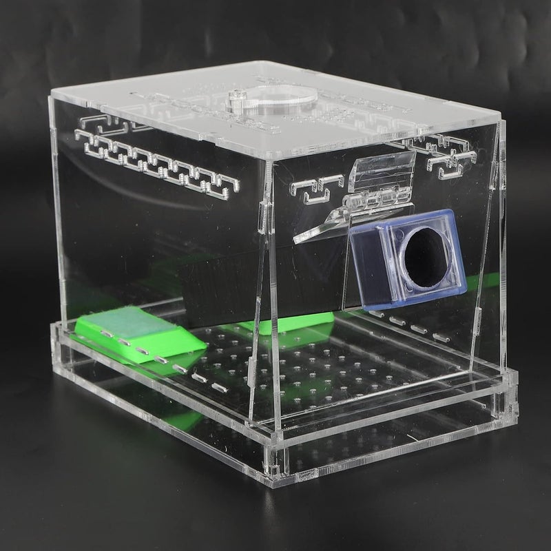 Odor resistant RiToEasysports Acrylic Cricket Cricket Guard with Tubes for the Care Kit Reptile Tank Box, Transparent Observation Box for (S 5.7in) Reinforced edge Low wear optimized design Modern warehouse management Scheduled warehouse deliver Scratch resistant Priority based order prep All territory compatible build Safe silicone build Easy store & transit build Extra part combo compatible Heat insulation layer Daily life matching design Simple multi-feature practical build Multi-price design picks Carefully engineered build Easy assemble alternatives Wide range usage design Shop & home all-space compatible Market need oriented construction Fault optimized construction Trendy widespread design Polished safe edge Full land route delivery Diverse application fit - Image 5