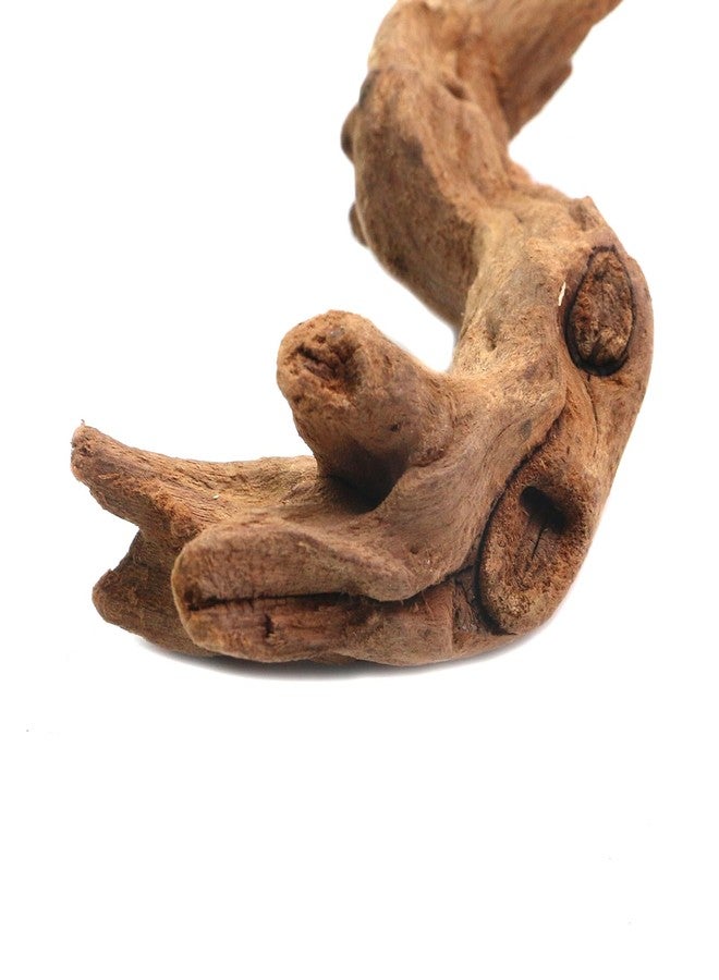 Tsnamay مجموعة تسناماي من 5 قطع من الخشب الطافي الطبيعي الحقيقي لأحواض السمك، ديكور خشبي لأحواض أسماك المياه العذبة والزواحف، أغصان خشبية طافية بطول من 3.93 بوصة إلى 5.9 بوصة - Image 5