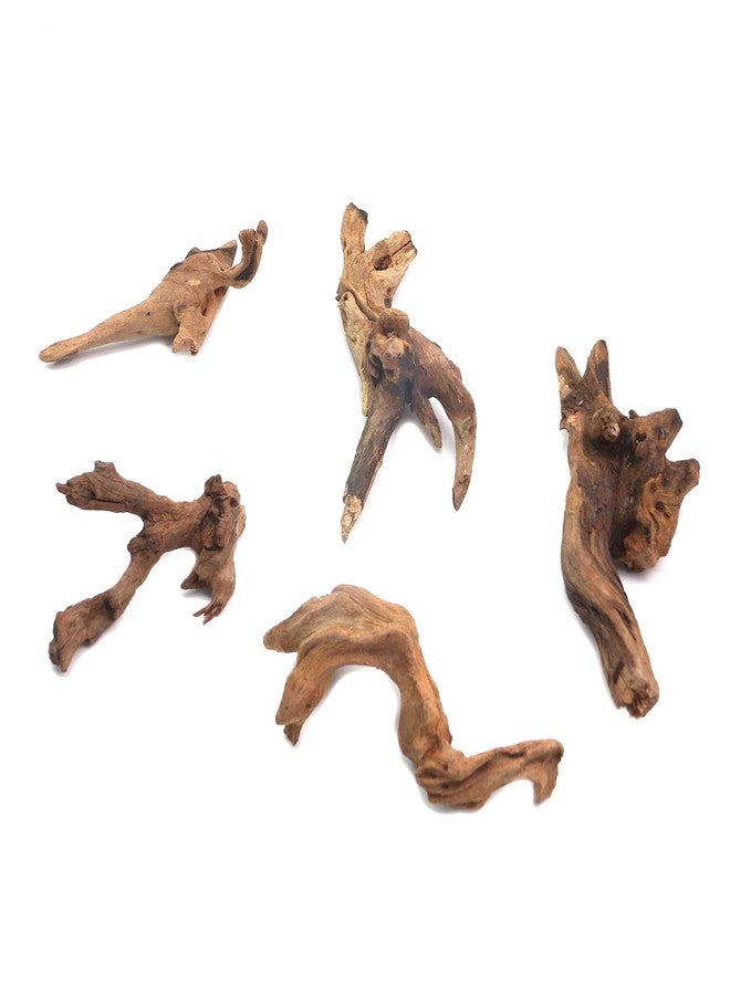 Tsnamay مجموعة تسناماي من 5 قطع من الخشب الطافي الطبيعي الحقيقي لأحواض السمك، ديكور خشبي لأحواض أسماك المياه العذبة والزواحف، أغصان خشبية طافية بطول من 3.93 بوصة إلى 5.9 بوصة - Image 1