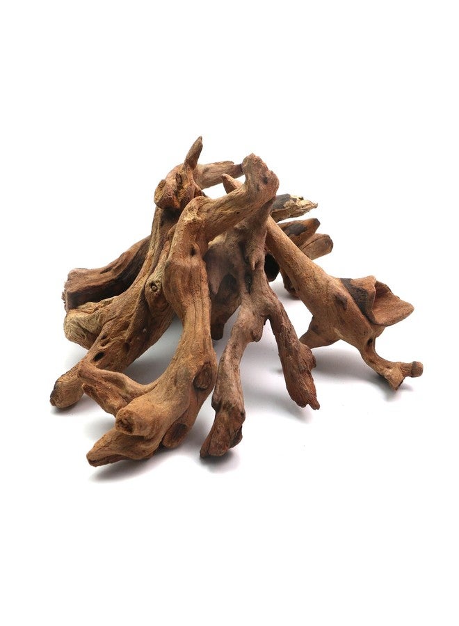 Tsnamay مجموعة تسناماي من 5 قطع من الخشب الطافي الطبيعي الحقيقي لأحواض السمك، ديكور خشبي لأحواض أسماك المياه العذبة والزواحف، أغصان خشبية طافية بطول من 3.93 بوصة إلى 5.9 بوصة - Image 4