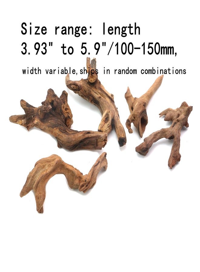 Tsnamay مجموعة تسناماي من 5 قطع من الخشب الطافي الطبيعي الحقيقي لأحواض السمك، ديكور خشبي لأحواض أسماك المياه العذبة والزواحف، أغصان خشبية طافية بطول من 3.93 بوصة إلى 5.9 بوصة - Image 2