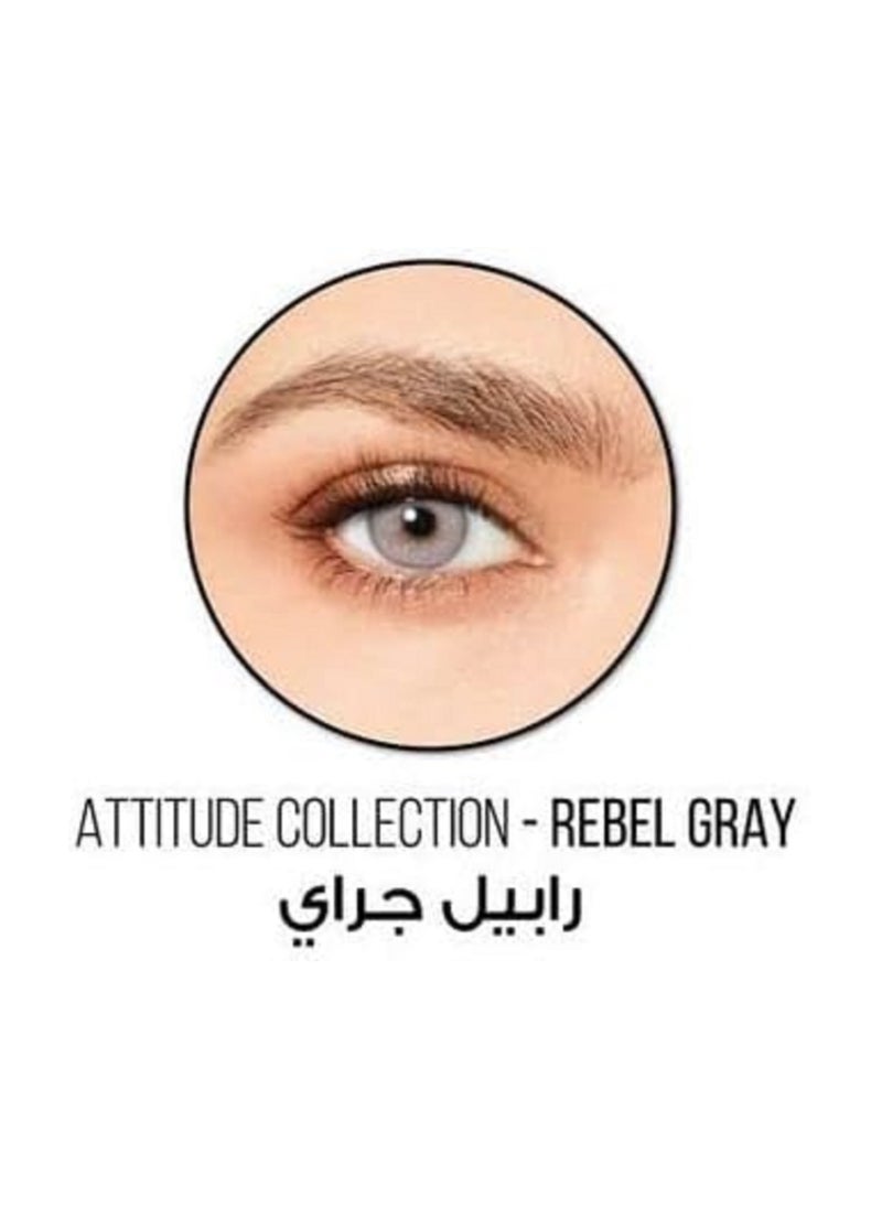 Desio - Attitude One Day Colored Contact Lenses Rebel Grey - Image 1