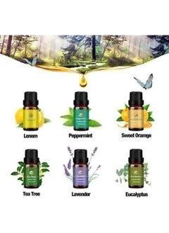 Beauenty Oils Set for Diffuser, 6pcs x 10 mL Diffuser Oil, Lavender, Eucalyptus, Lemon, Sweet Orange, Tea Tree, Peppermint  - Image 2